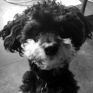 Meet your Posher, Joan